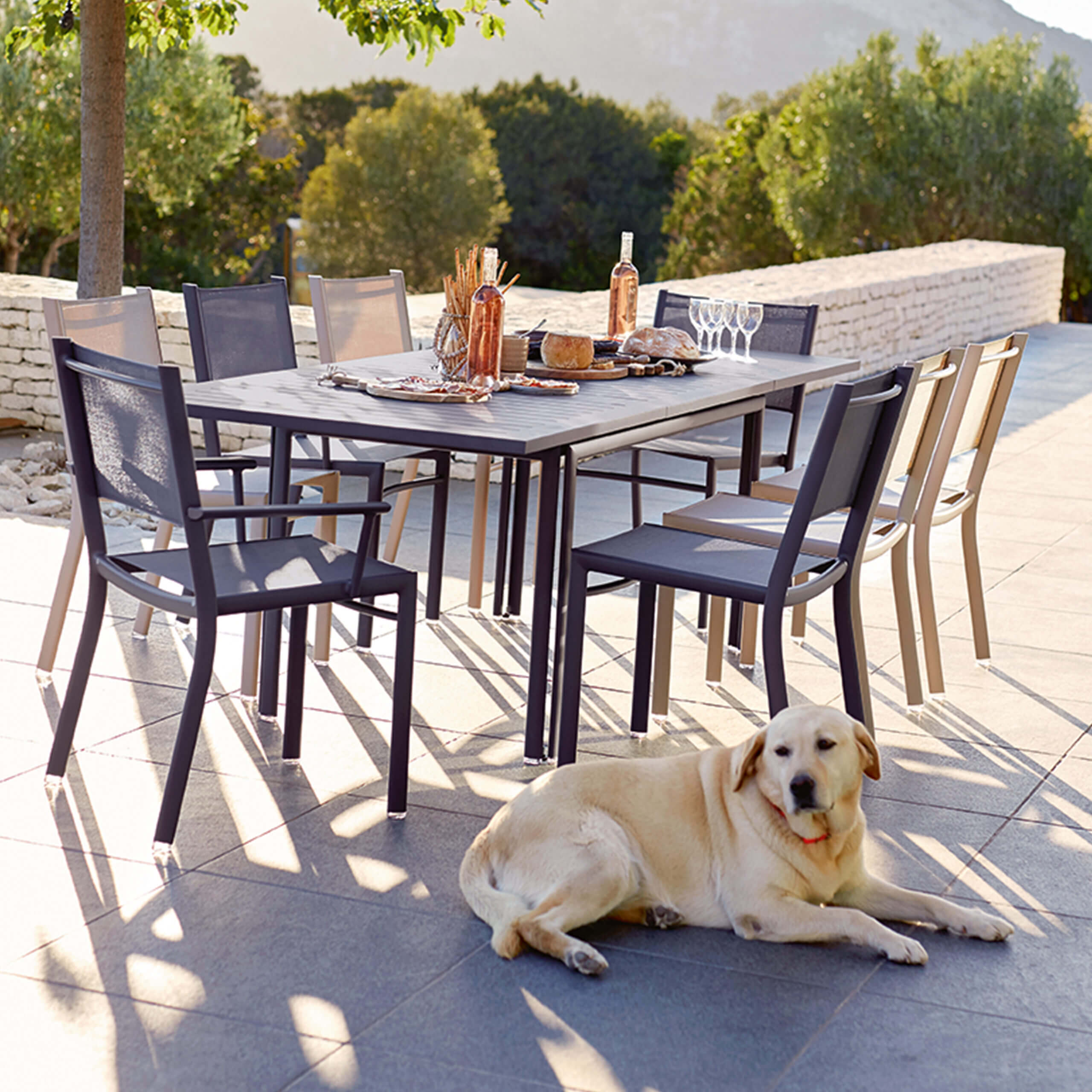 Gartentisch mit (8) acht Sitzplätzen / acht Stühlen in anthrazit und beige - Gartenmöbel, Outdoor, Accessoires, Outdoormöbel, Esstisch - bühler einrichtungen in Friesenheim bei Offenburg zwischen Karlsruhe und Freiburg